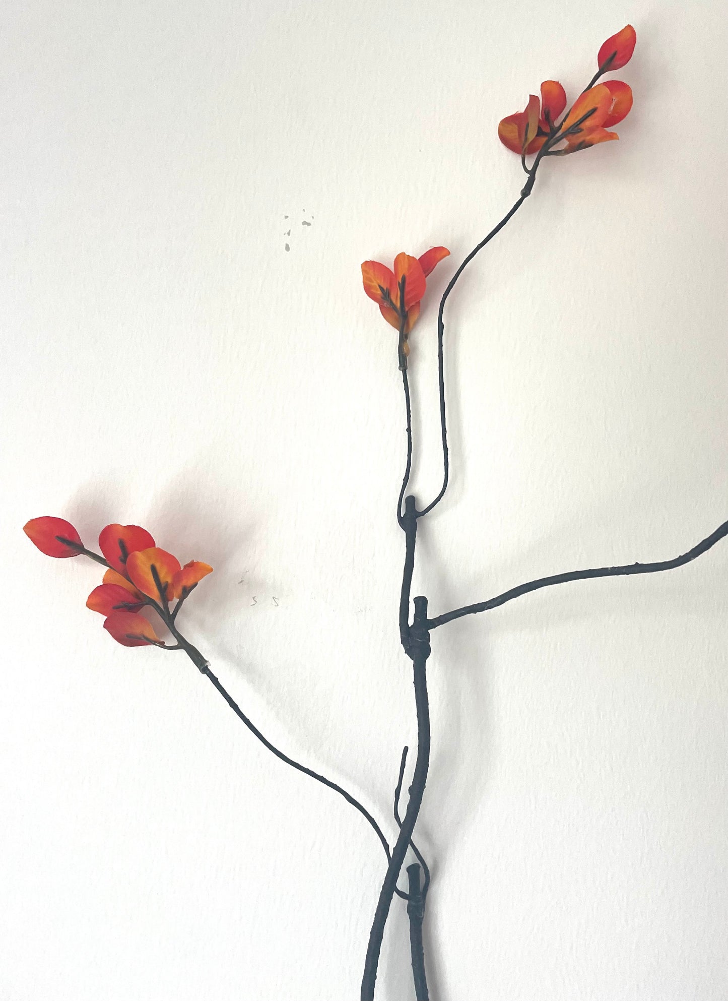 Orange Leaf Stems