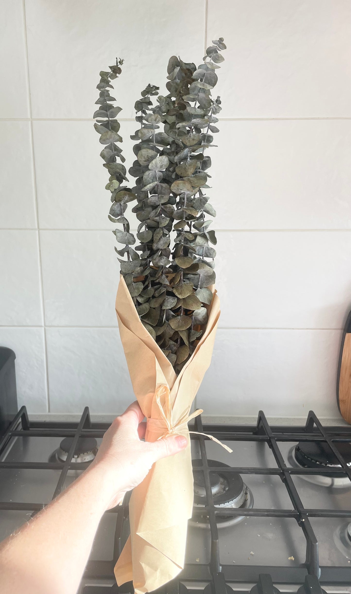 Artificial Eucalyptus Tall Stems