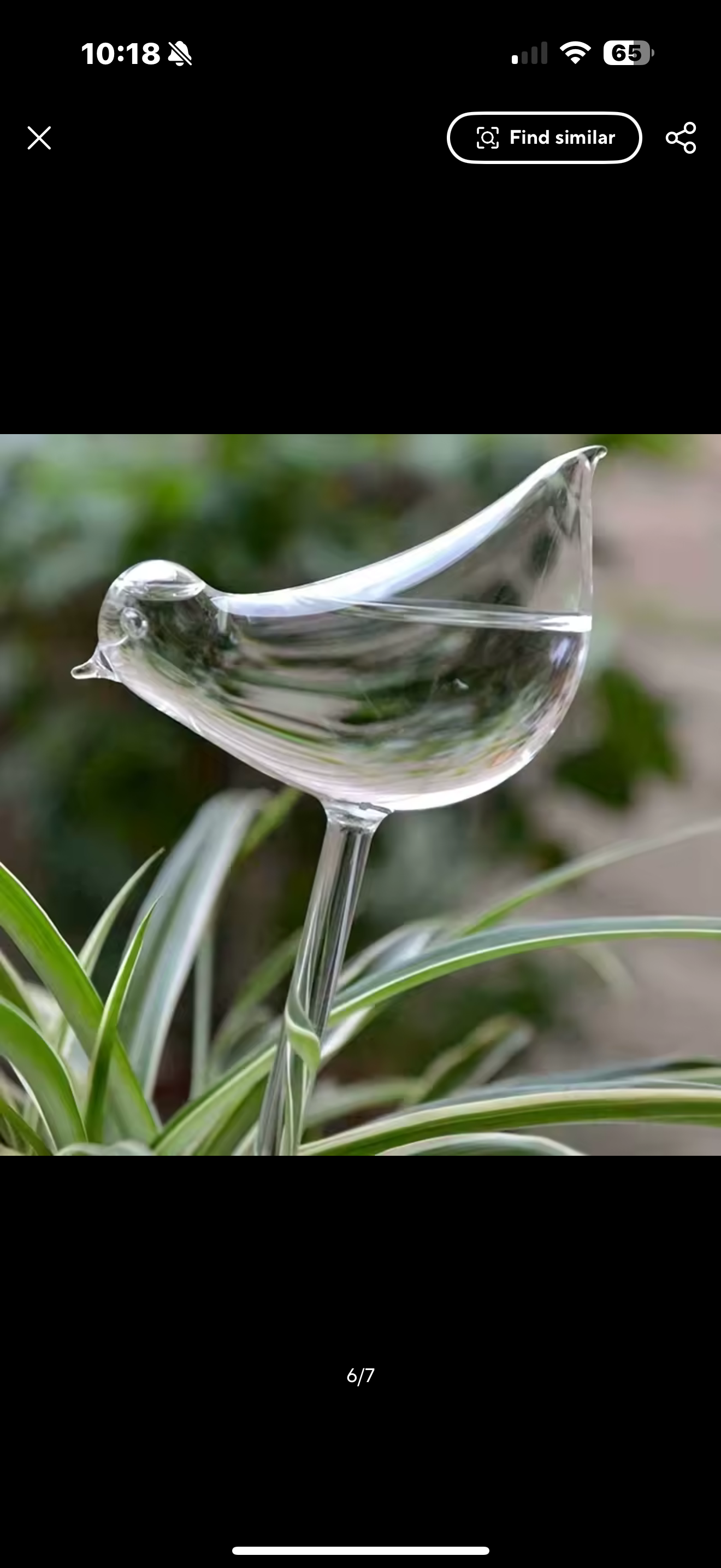 Garden Bird Water Dispener