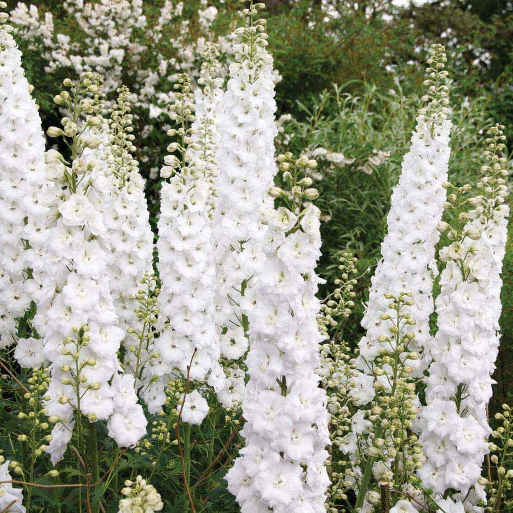 White Artificial Delphinium Stems