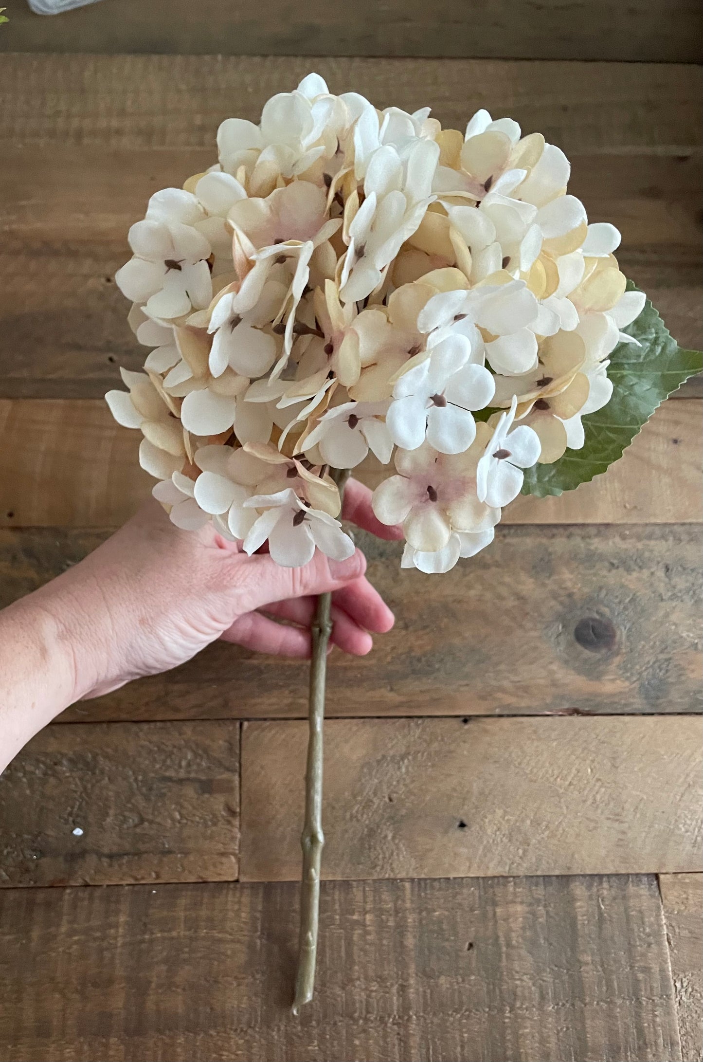 Cream Artificial Hydrangea Stems