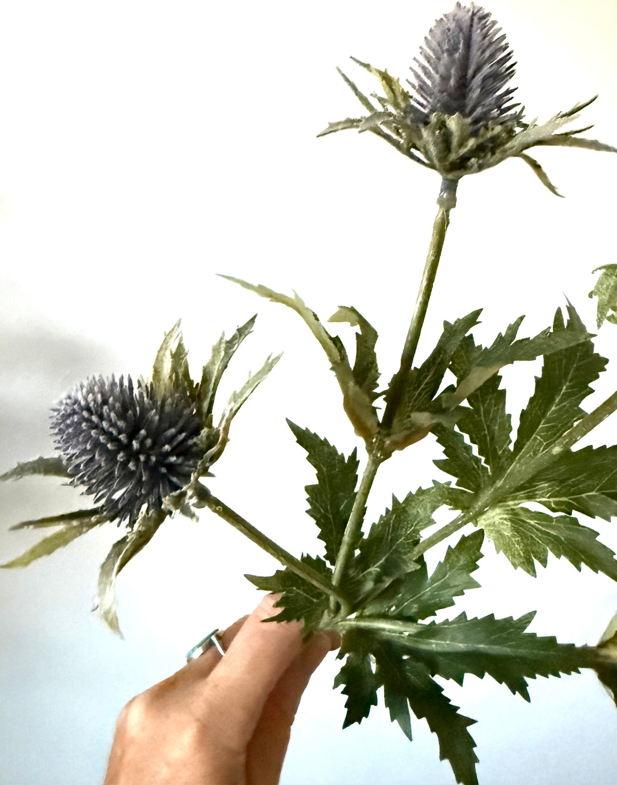 Artificial Thistle Stems