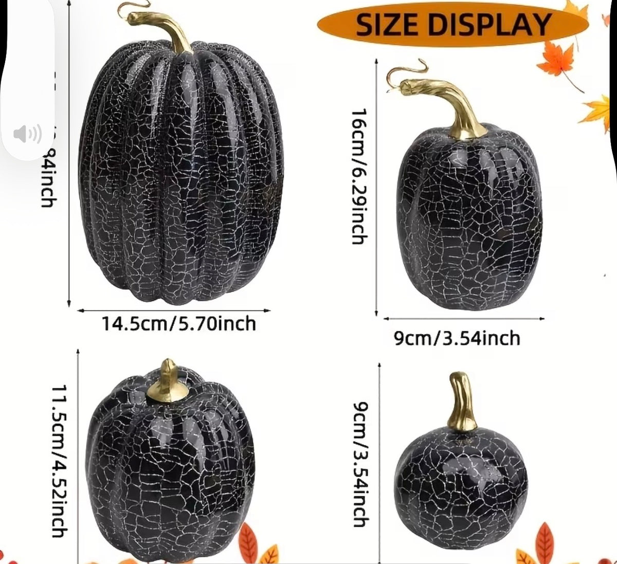 Decorative Black Pumpkins
