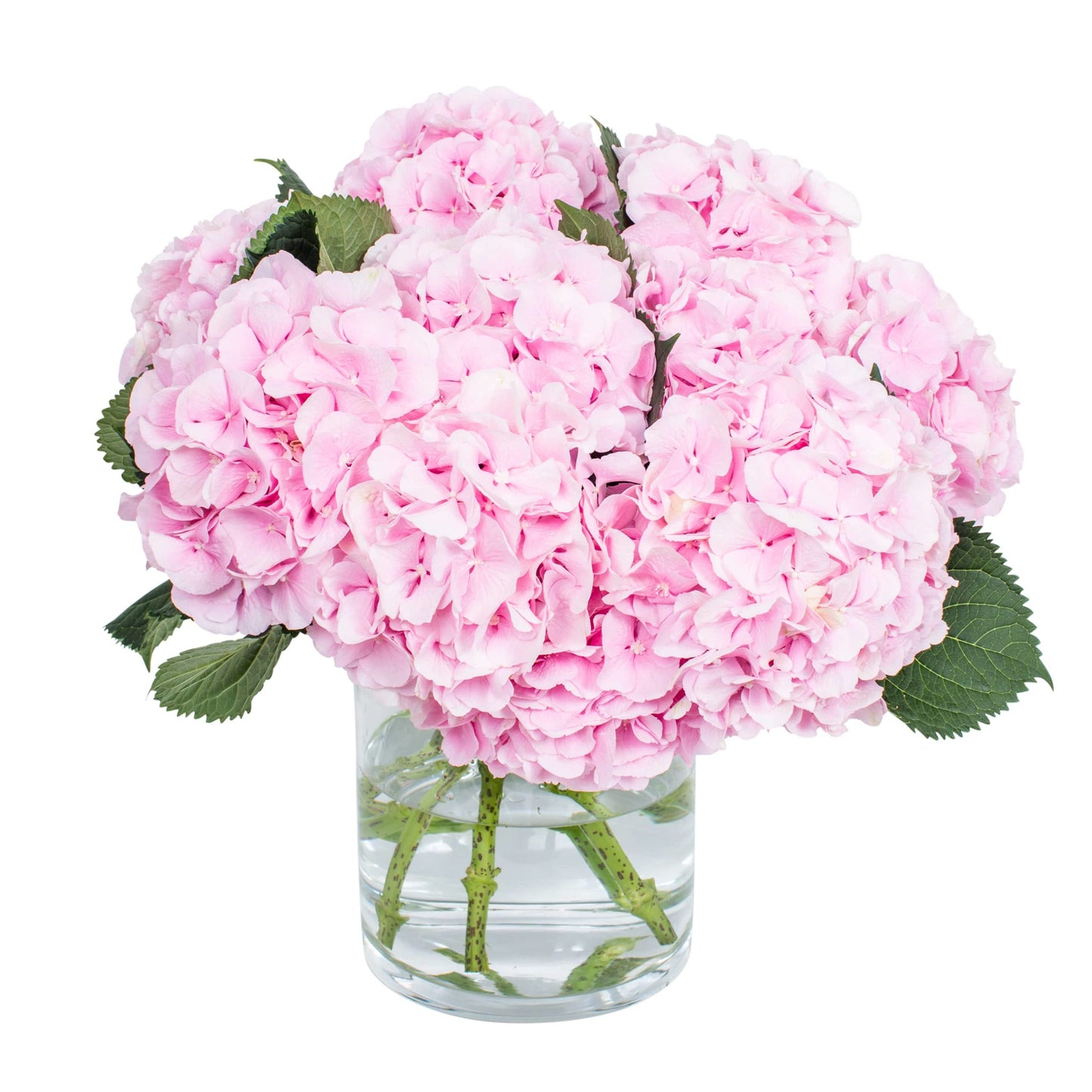 Light Pink Artificial Hydrangeas Stems