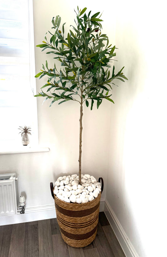 The Koroneiki Artificial Olive Tree in Basket