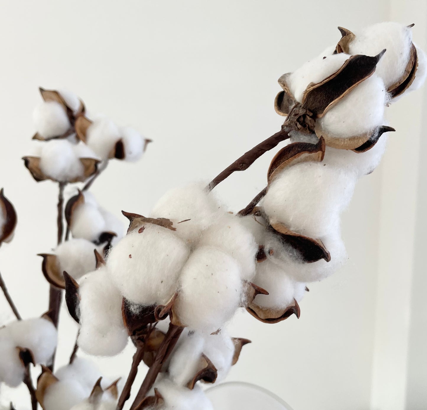 Artificial Cotton Boll Stems