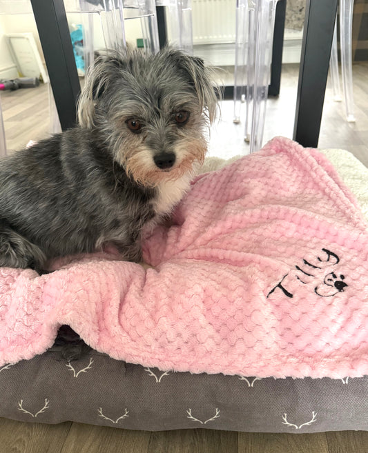 Personalised Embroidered Fleece Dog Blanket