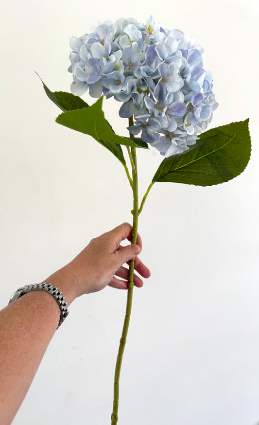 Lilac Blue Tall Premium Hydrangeas