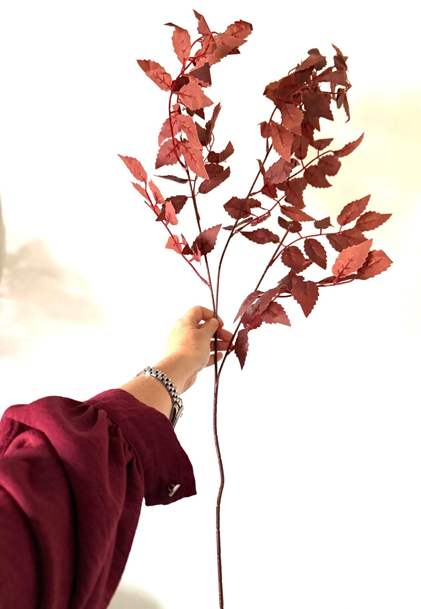 Plum Colour Autumn Tall Leafy Branch Stems