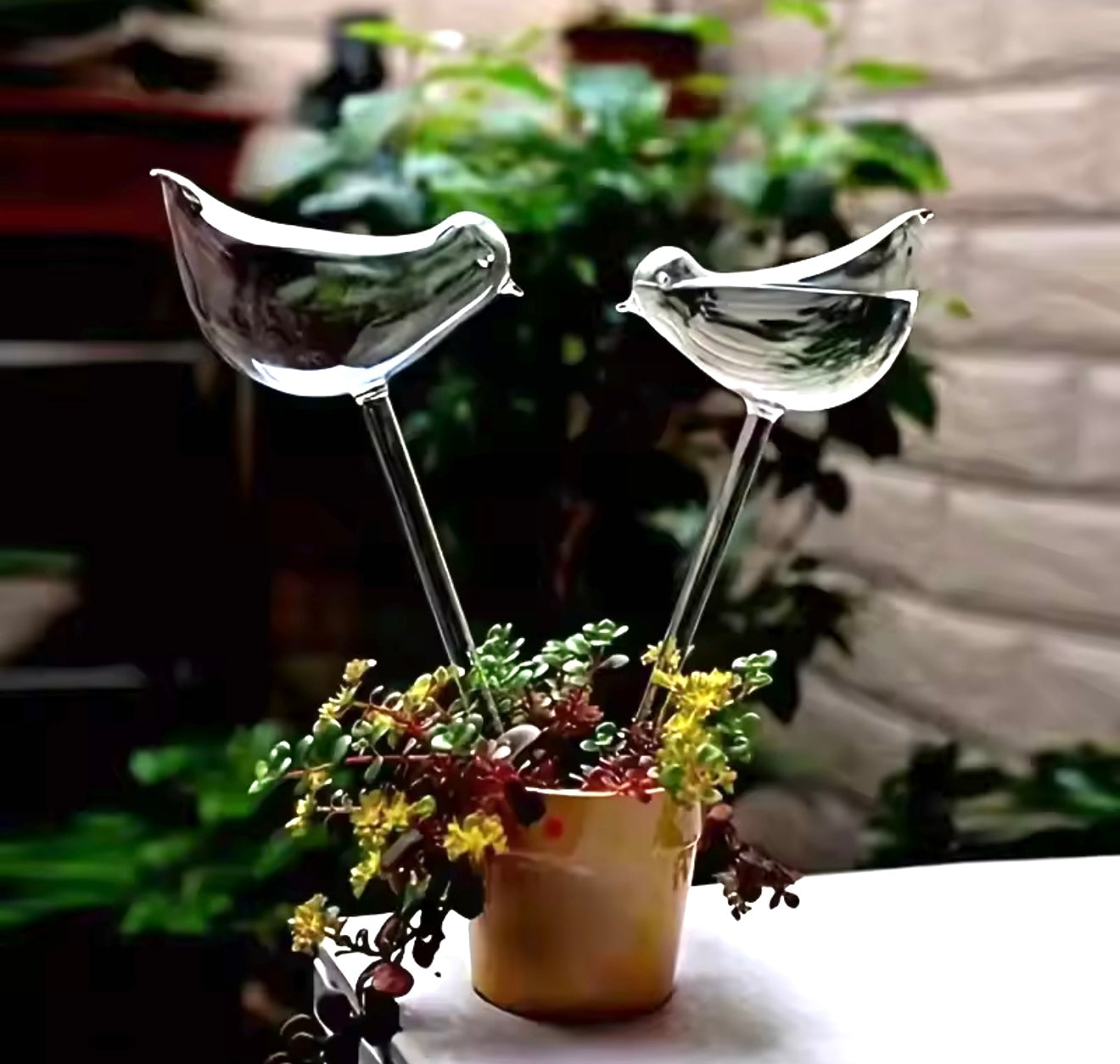 Garden Bird Water Dispener