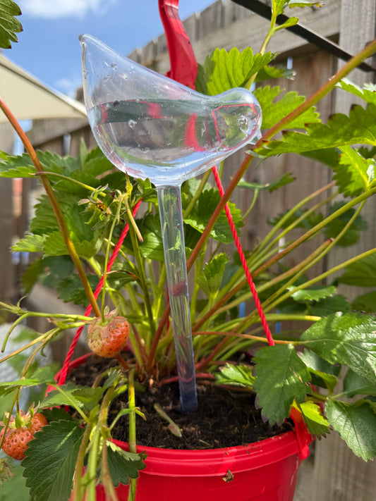 Garden Bird Water Dispener